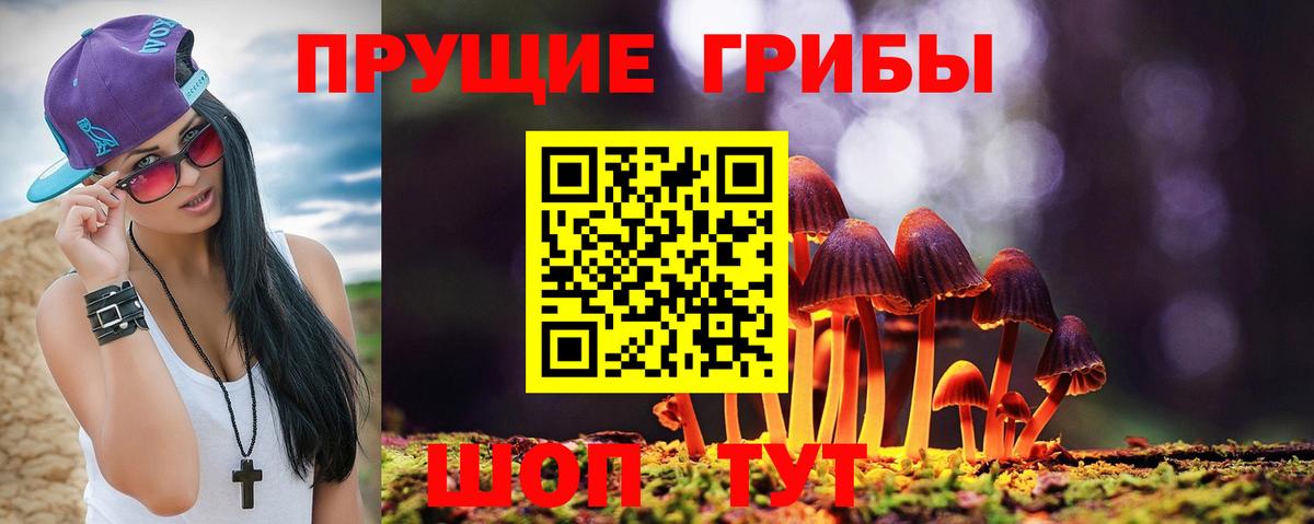 Галлюциногенные грибы мухоморы  Галлюциногенные грибы Psilocybine cubensis  Вход с VPN  Севастополь 